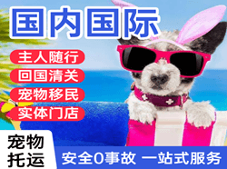 西郊航空托运国际宠物托运 【国